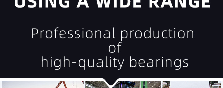 GE maintenance-free bearing(图10)